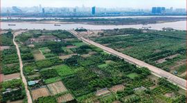 Tin vui: Người có đất nông nghiệp muốn chuyển đổi lên thổ cư thuộc trường hợp này sẽ được giảm 70% tiền sử dụng đất