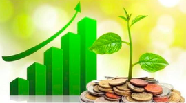 Lịch chốt quyền cổ tức tuần 15-19/6: Cổ tức tiền mặt cao nhất 125%, một ngân hàng sắp chi 3.500 tỷ đồng