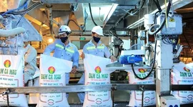 Sau nhịp giảm gần 30% từ đỉnh, một cổ phiếu phân bón được dự báo còn dư địa tăng 40%