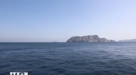 Mỹ khẳng định eo biển Hormuz sẽ miễn phí lưu thông theo thỏa thuận hòa bình mới