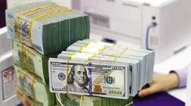 Vì sao tỷ giá USD ổn định dù Việt Nam nhập siêu gần 14 tỷ USD?