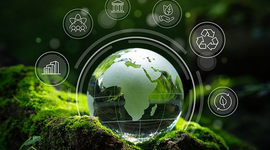 Loạt công ty chứng khoán đầu tiên gia nhập thị trường carbon Việt Nam