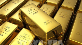 Giá vàng giảm hơn 2% do đồng USD mạnh lên và kỳ vọng Fed tăng lãi suất