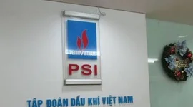 Mua thêm cổ phiếu, Đầu tư Flexfin nắm hơn 8% vốn Chứng khoán Dầu khí