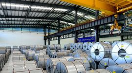 Thép Nam Kim (NKG) hoàn tất chia cổ tức bằng cổ phiếu, vốn điều lệ vượt 4.900 tỷ đồng