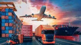 Lợi nhuận logistics quý II phân hóa mạnh: Gemadept, Cảng Hải Phòng bứt tốc, VSC, HAH và Viettel Post hụt hơi