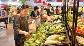 Giá điện, nước, xăng dầu kéo CPI tháng 5/2026 tăng 0,29%