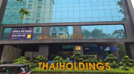 Cổ phiếu Thaiholdings (THD) lần đầu giảm điểm sau hơn 1 tháng