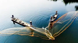 Khối nội tung hàng trăm nghìn tỷ vào chứng khoán Việt Nam, cân lại lực bán ròng từ khối ngoại