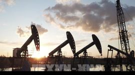 Giá dầu thế giới giảm 3% sau thoả thuận ngừng bắn giữa Israel và Liban