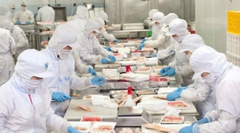 Một cổ phiếu thủy sản được khuyến nghị MUA với kỳ vọng tăng 41%