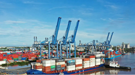 Lộ diện những người nhận cổ tức tiền mặt cao nhất vài ngày nữa: Không phải bất động sản hay tài chính