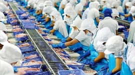 Vĩnh Hoàn trước triển vọng thuận lợi của ngành cá tra, cổ phiếu VHC được kỳ vọng tăng 30%