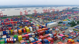 Xuất khẩu Trung Quốc dự kiến tăng mạnh trong tháng 5/2026