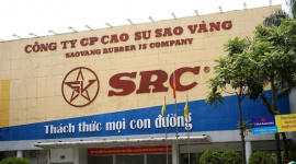 Lãi quý 1 tăng 250%, một doanh nghiệp sắp chốt quyền nhận "combo" cổ tức tiền mặt và cổ phiếu thưởng tỷ lệ 30%