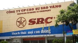 Lãi quý 1 tăng 250%, một doanh nghiệp sắp chốt quyền nhận "combo" cổ tức tiền mặt và cổ phiếu thưởng tỷ lệ 30%