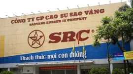 Lãi quý 1 tăng 250%, một doanh nghiệp sắp chốt quyền nhận "combo" cổ tức tiền mặt và cổ phiếu thưởng tỷ lệ 30%