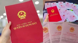 Năm 2026, những trường hợp sau sẽ bị thu hồi Sổ đỏ