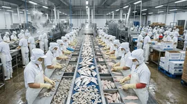 Mục tiêu 100 tỷ USD xuất khẩu nông sản: Cuộc đua "500 ngày đêm" và nghịch lý "khát" vốn