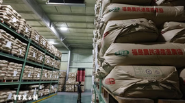 Giá gạo tại Nhật Bản giảm xuống mức thấp nhất kể từ cuối năm 2024