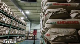 Giá gạo tại Nhật Bản giảm xuống mức thấp nhất kể từ cuối năm 2024