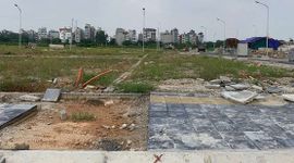 Đất đấu giá hạ nhiệt, thị trường dần đi vào thực chất