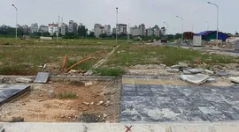 Đất đấu giá hạ nhiệt, thị trường dần đi vào thực chất