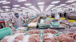 Doanh thu quý II giảm 74%, doanh nghiệp thủy sản vẫn báo lãi tăng hơn 200%, tiền chiếm 73% tài sản: Điều gì đã xảy ra?
