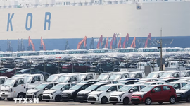 Ôtô nhập khẩu lần đầu chiếm hơn 25% thị phần xe mới tại Hàn Quốc