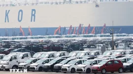 Ôtô nhập khẩu lần đầu chiếm hơn 25% thị phần xe mới tại Hàn Quốc