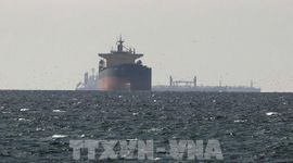 Căng thẳng tại eo biển Hormuz đe dọa chuỗi cung ứng từ nông nghiệp đến công nghệ cao