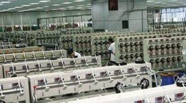 Một công ty trên sàn chỉ có 6 nhân sự báo lãi tăng trưởng 400%, chuẩn bị trả cổ tức 2.000 đồng/cp