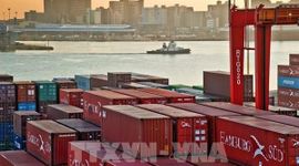 Mỹ có thể siết thuế, thị trường xuất khẩu 43 tỷ USD của châu Phi đối mặt bất định