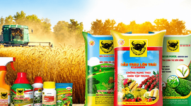 Phân bón Bình Điền (BFC) báo lãi giảm sốc trong quý II