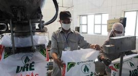 "Quả đấm thép" một thời ngành phân bón báo lãi gấp 15 lần cùng kỳ, vẫn lỗ lũy kế 1.240 tỷ đồng