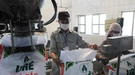 "Quả đấm thép" một thời ngành phân bón báo lãi gấp 15 lần cùng kỳ, vẫn lỗ lũy kế 1.240 tỷ đồng