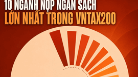Bất động sản, dầu khí, ngân hàng đóng góp gần một nửa tổng nộp ngân sách của 200 doanh nghiệp lớn nhất