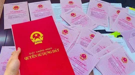 Đề xuất cấp Giấy chứng nhận quyền sử dụng đất (sổ đỏ) dưới dạng điện tử