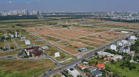 Từ ngày 31/8, tự ý chuyển đất trồng lúa sang đất ở có thể bị phạt tới 400 triệu đồng