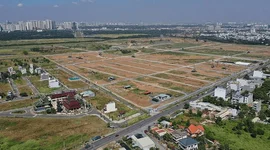 Từ ngày 31/8, tự ý chuyển đất trồng lúa sang đất ở có thể bị phạt tới 400 triệu đồng
