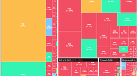 Nhóm cổ phiếu Midcap và Penny gặp áp lực bán mạnh