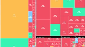 Nhóm cổ phiếu Midcap và Penny gặp áp lực bán mạnh