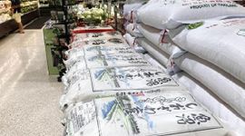 Nhật Bản siết chặt quy định dự trữ gạo