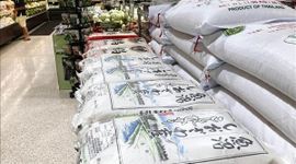 Nhật Bản siết chặt quy định dự trữ gạo