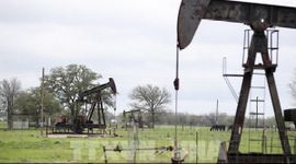 Giá dầu WTI có thể tăng lên 80 USD/thùng nếu căng thẳng Mỹ-Iran kéo dài