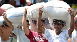 Philippines nhập khẩu gạo cao kỷ lục trong 6 tháng đầu năm