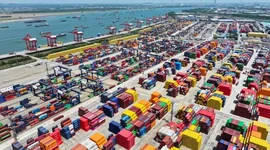 Trung Quốc áp thuế chống bán phá giá tạm thời với hồ đào Mỹ, Mexico