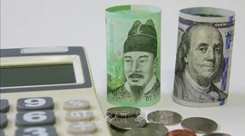 Hàn Quốc: Doanh thu của các công ty tư vấn đầu tư tăng mạnh