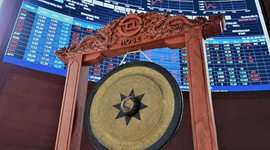 Hơn 450.000 tỷ đồng 'hàng mới' lên thị trường trong khoảng 1 năm qua: Mã 'bé hạt tiêu' nhân bằng lần, cổ phiếu 'hàng hiệu' bay hơn 20%