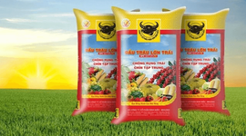 Lợi nhuận “lao dốc”, thù lao nhiều lãnh đạo Phân bón Bình Điền (BFC)  tăng hơn gấp đôi